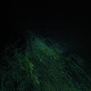 a3171843598 10