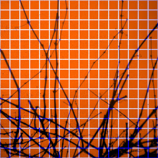 a3270491043 10