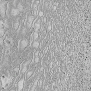 a3666421211 10