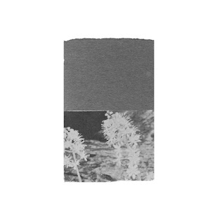 a3852843767 10