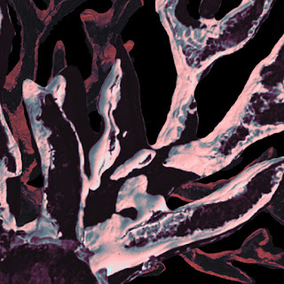 a4267584447 10