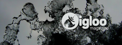 igloo logo1