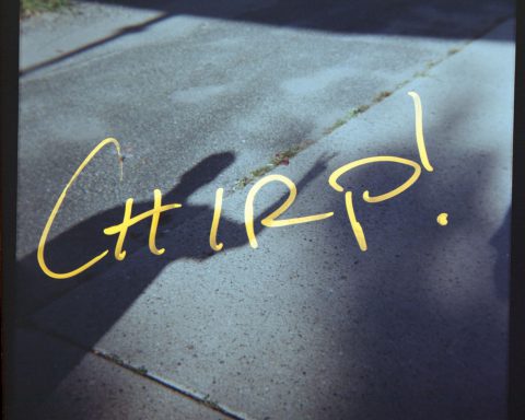 h matt moloney KQkfYwtU6SI unsplash